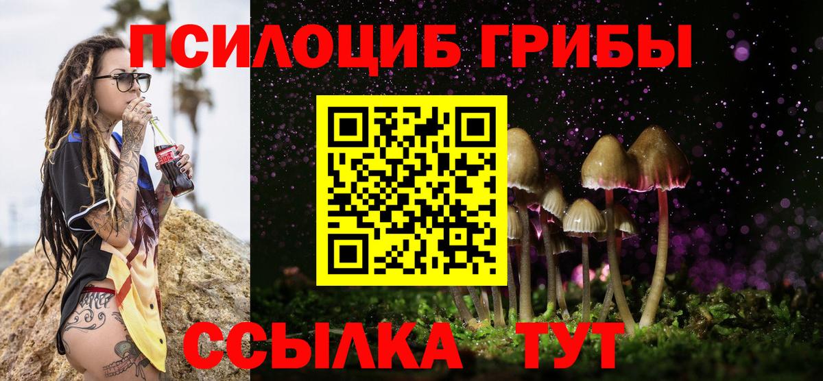 Галлюциногенные грибы Magic Shrooms  Вход с VPN  Ярославль 
